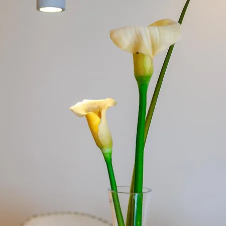 아파트 Private Terrace-sea Views Amd Valley Views-sleep 6 By Quicktrips *